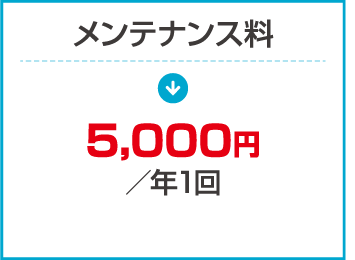 メンテナンス料